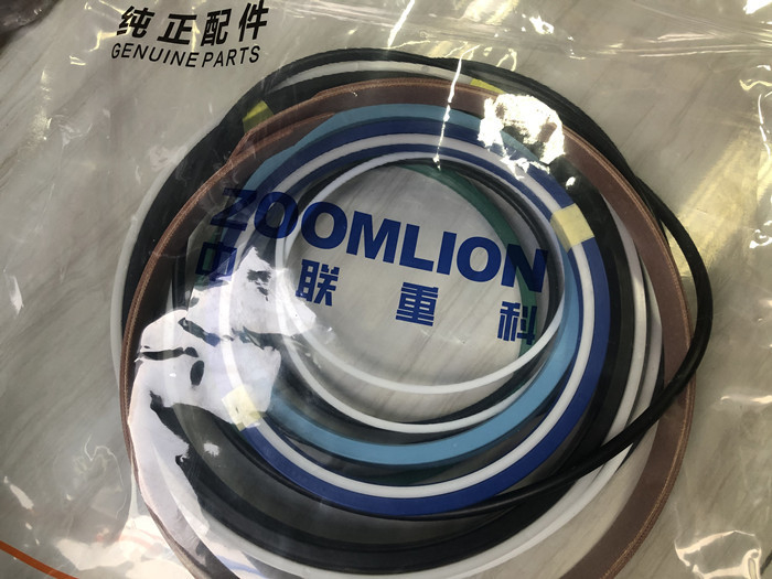 Hydraulic Pump Seal Kit Boom Piston Seal Kit SKF Zoomlion 47M
