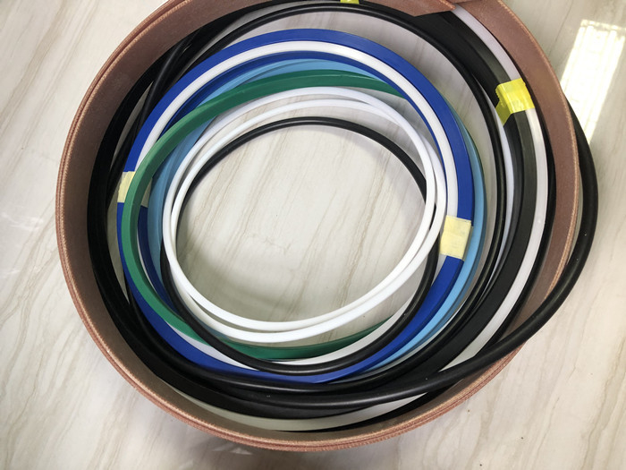 Hydraulic Pump Seal Kit Boom Piston Seal Kit SKF Zoomlion 47M